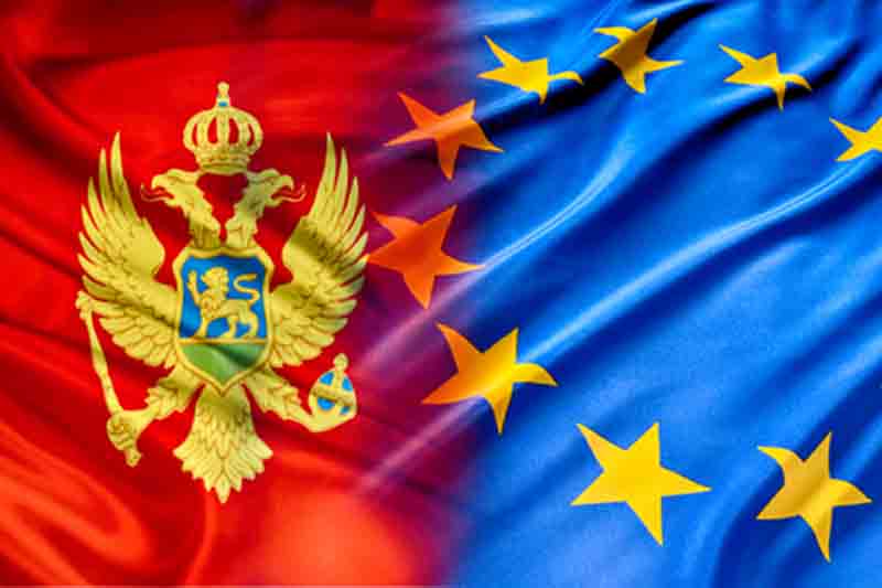 The Speaker of the Parliament of Montenegro assessed the importance of joining the EU