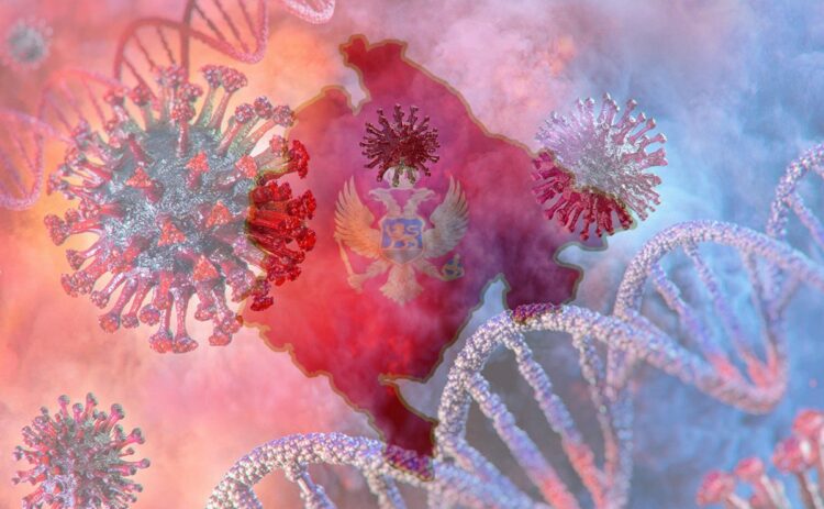 Montenegro has again declared a coronavirus epidemic