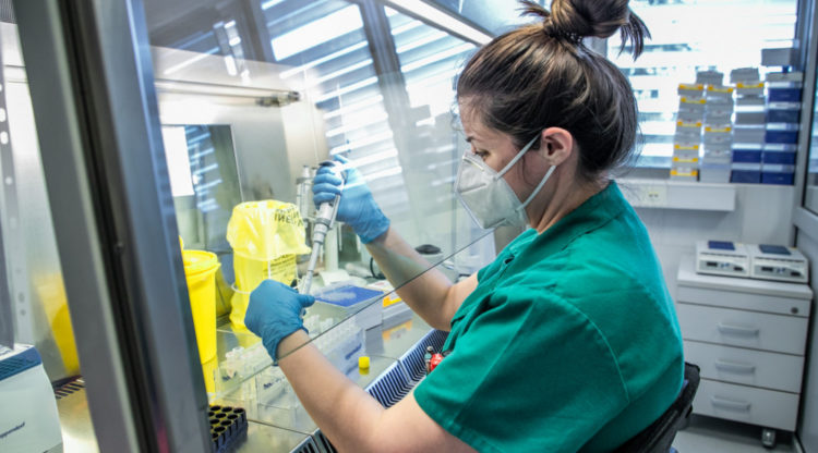 Montenegro Halfway to the End of the Epidemic