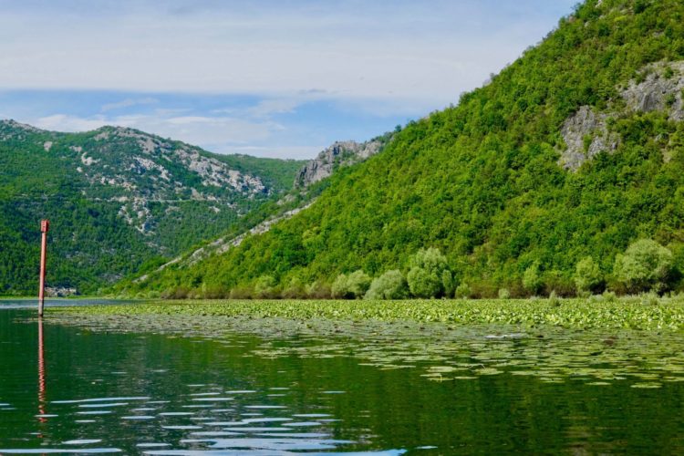 Lake Skadar: When to Go and What to Do