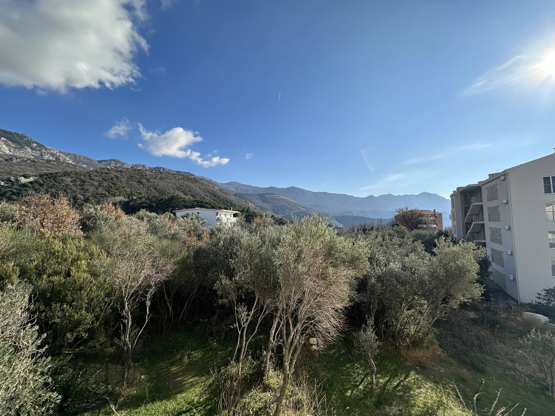 View from the apartment window in Bečići, Montenegro: an olive grove, mountain scenery, and modern residential development.