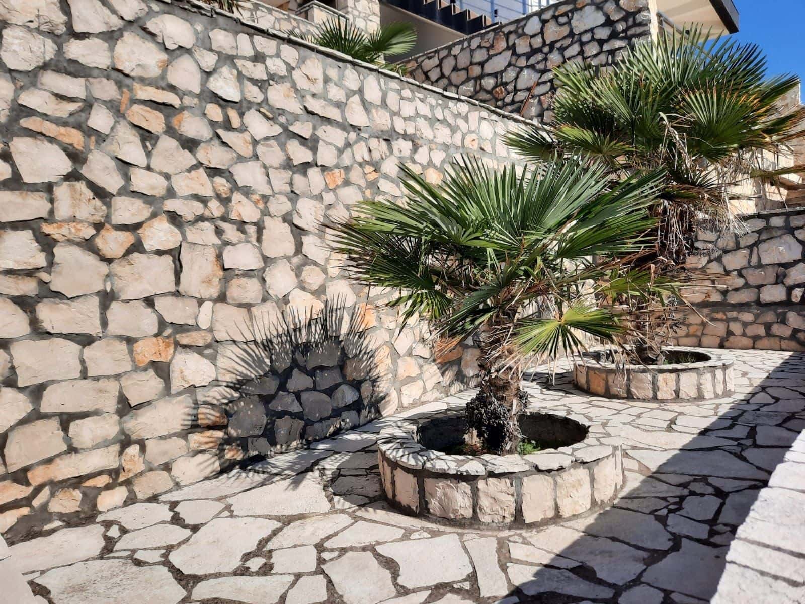 Villa terrace in Kruče, Montenegro: stone wall cladding, paved courtyard, and decorative palm trees in flower beds.