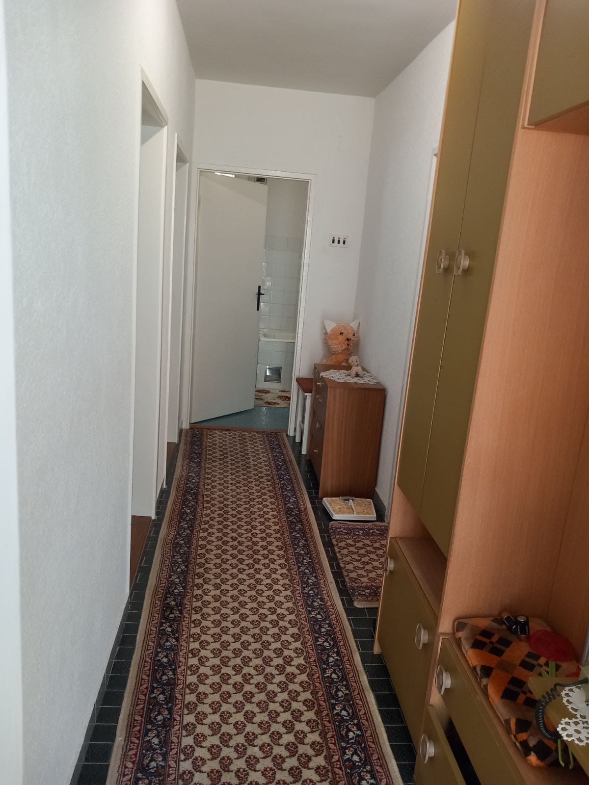 Hallway with a runner rug and furniture in a house for sale in Igalo, Montenegro, view of the bathroom.