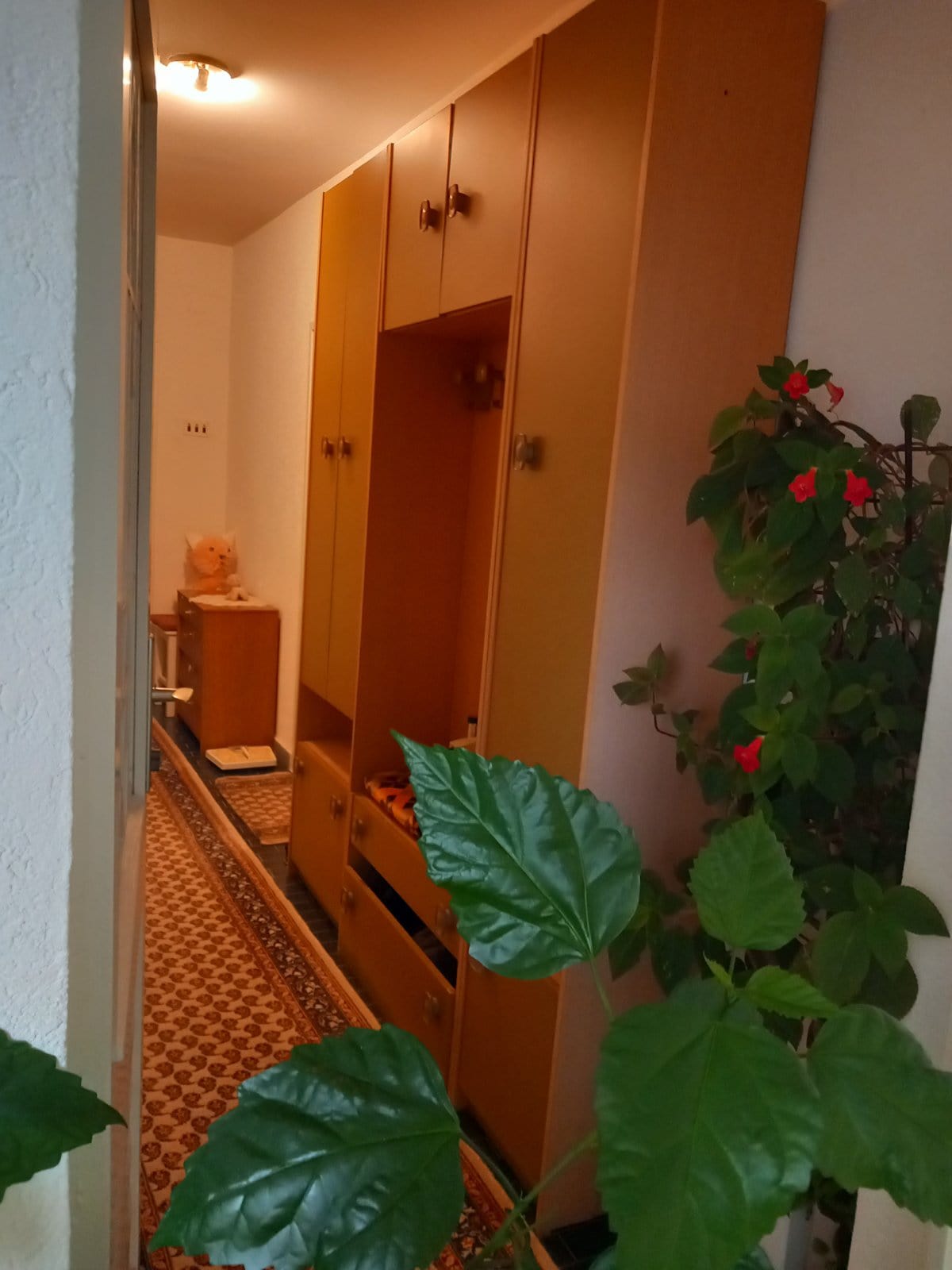 Hallway with a wooden wardrobe and runner rug in a house for sale in Igalo, Montenegro.