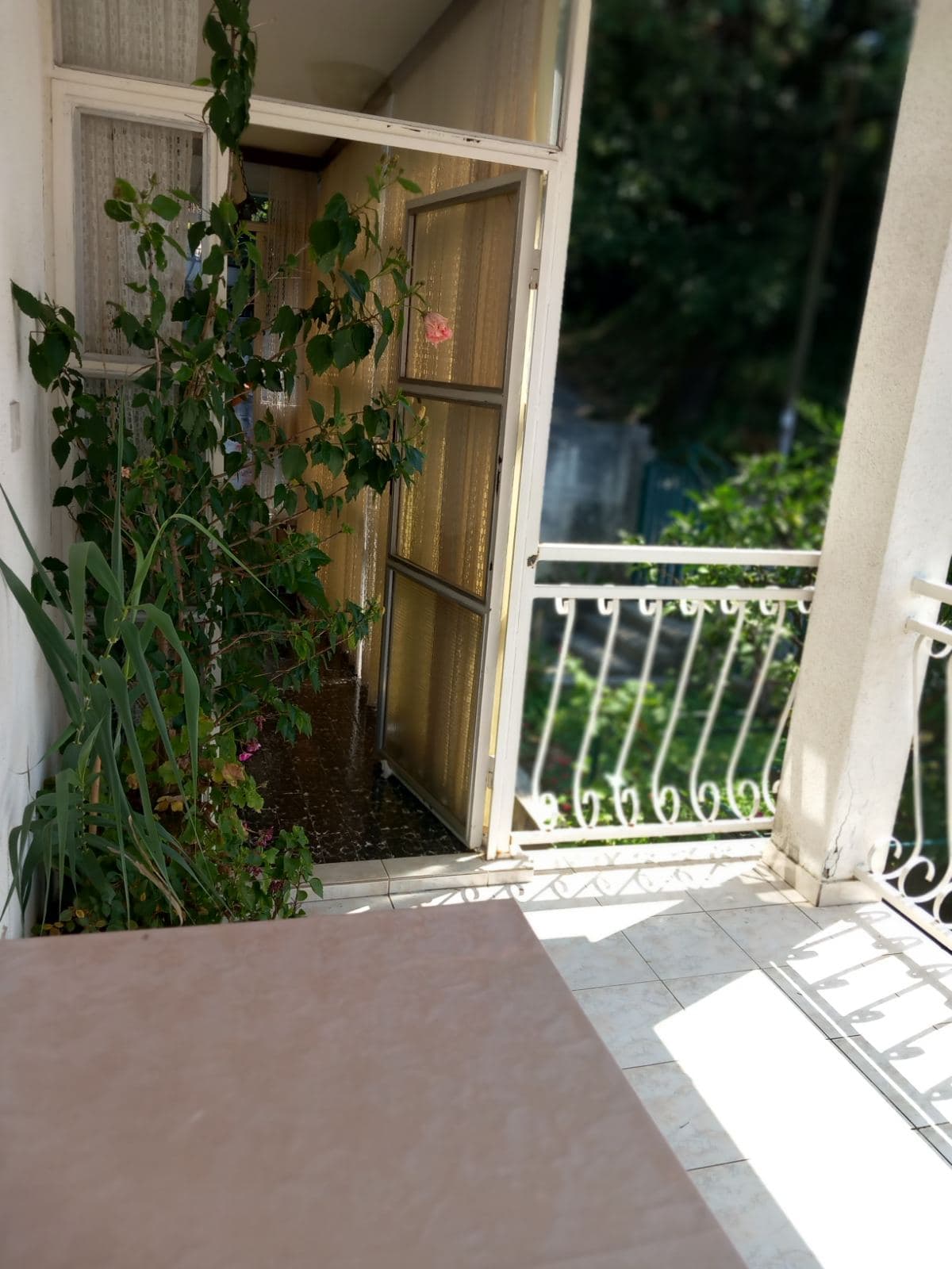 Balcony with wrought-iron railing and live plants in a house in Igalo, Montenegro, overlooking a green area.