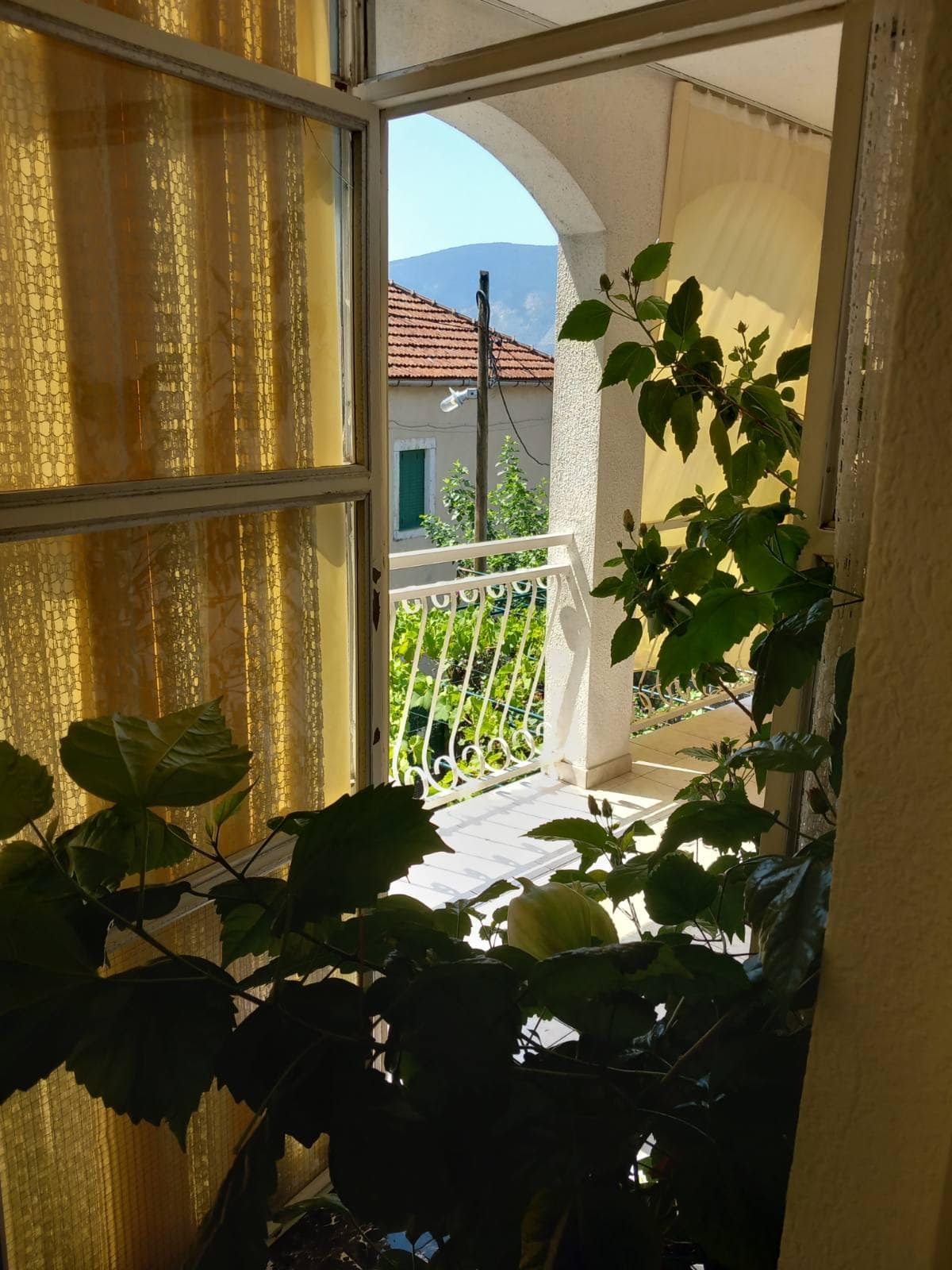 View from the balcony of a house in Igalo, Montenegro: wrought-iron railings, green plants, and a scenic mountain landscape in the background.
