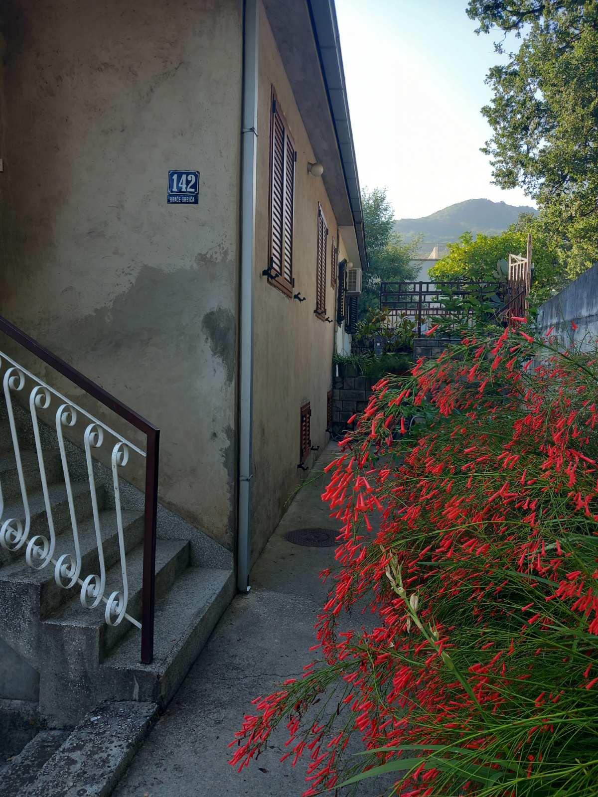 House facade in Igalo, Montenegro: stone staircase, blooming garden, and mountain view in a quiet residential area.