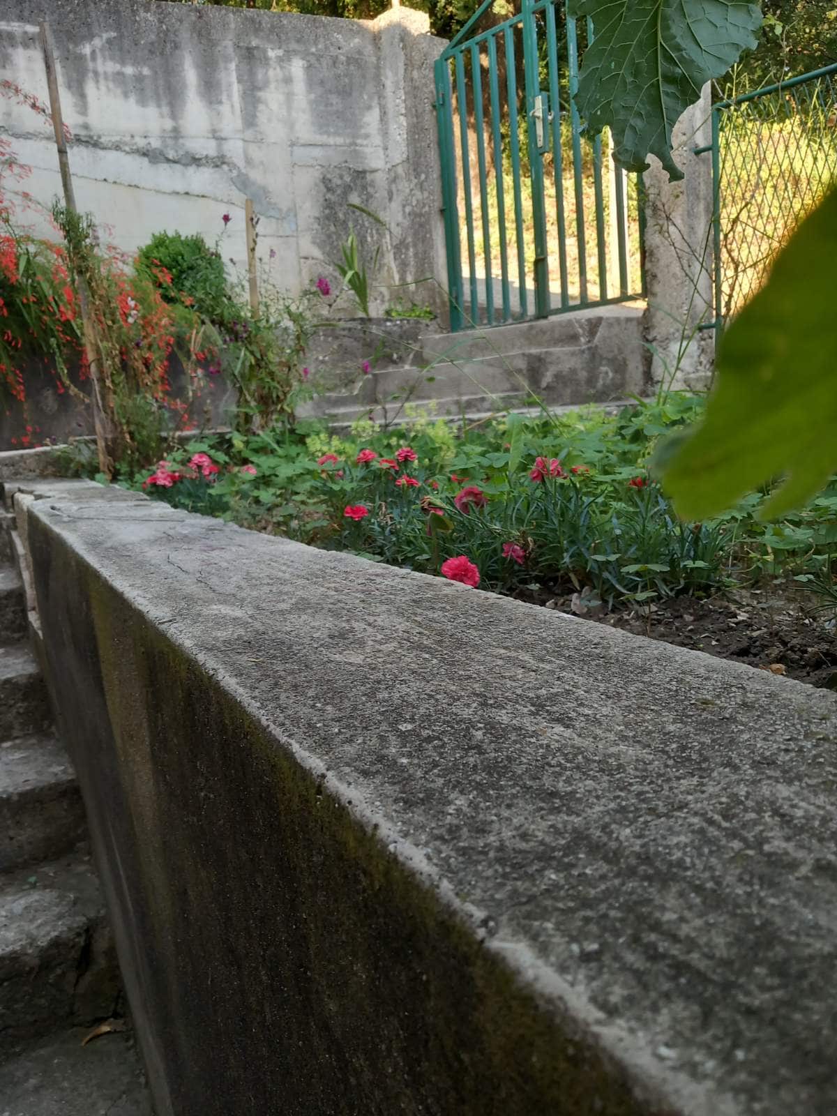 Cozy garden with blooming carnations and a concrete staircase by a private house in Igalo, Montenegro.