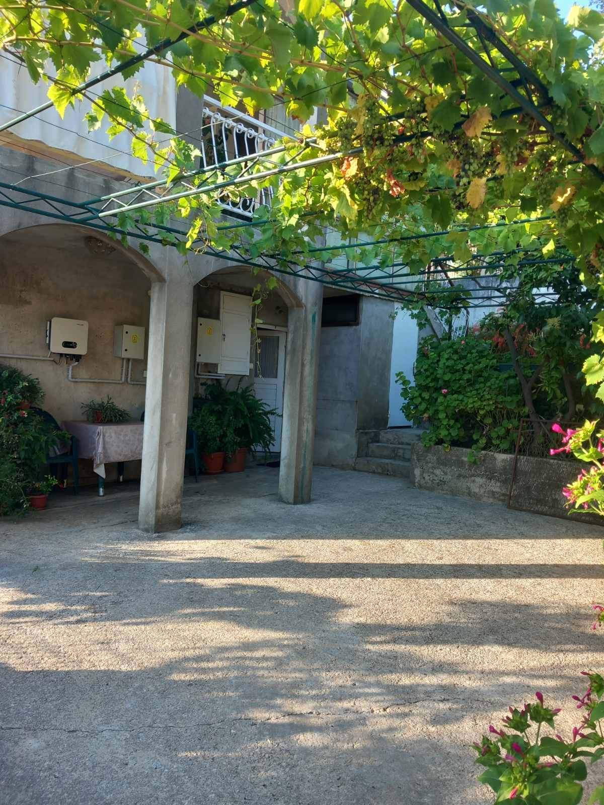 Cozy courtyard of a house in Igalo, Montenegro, with a terrace under a grapevine, a seating area, and green plants.