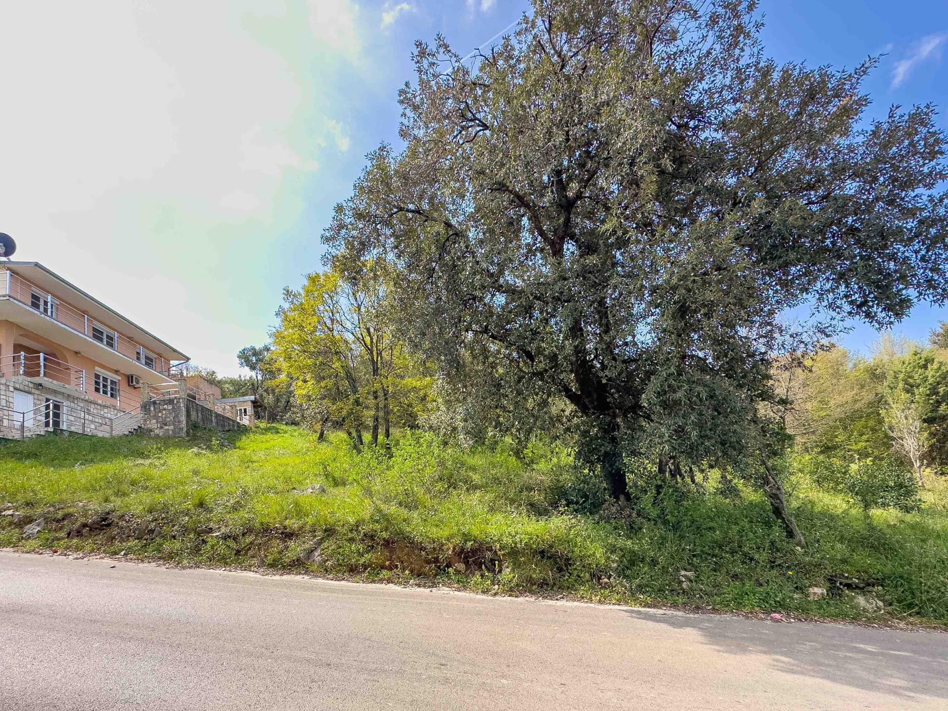 Green plot with a large tree next to the house in Utjeha, Montenegro: view of the facade and surrounding area.