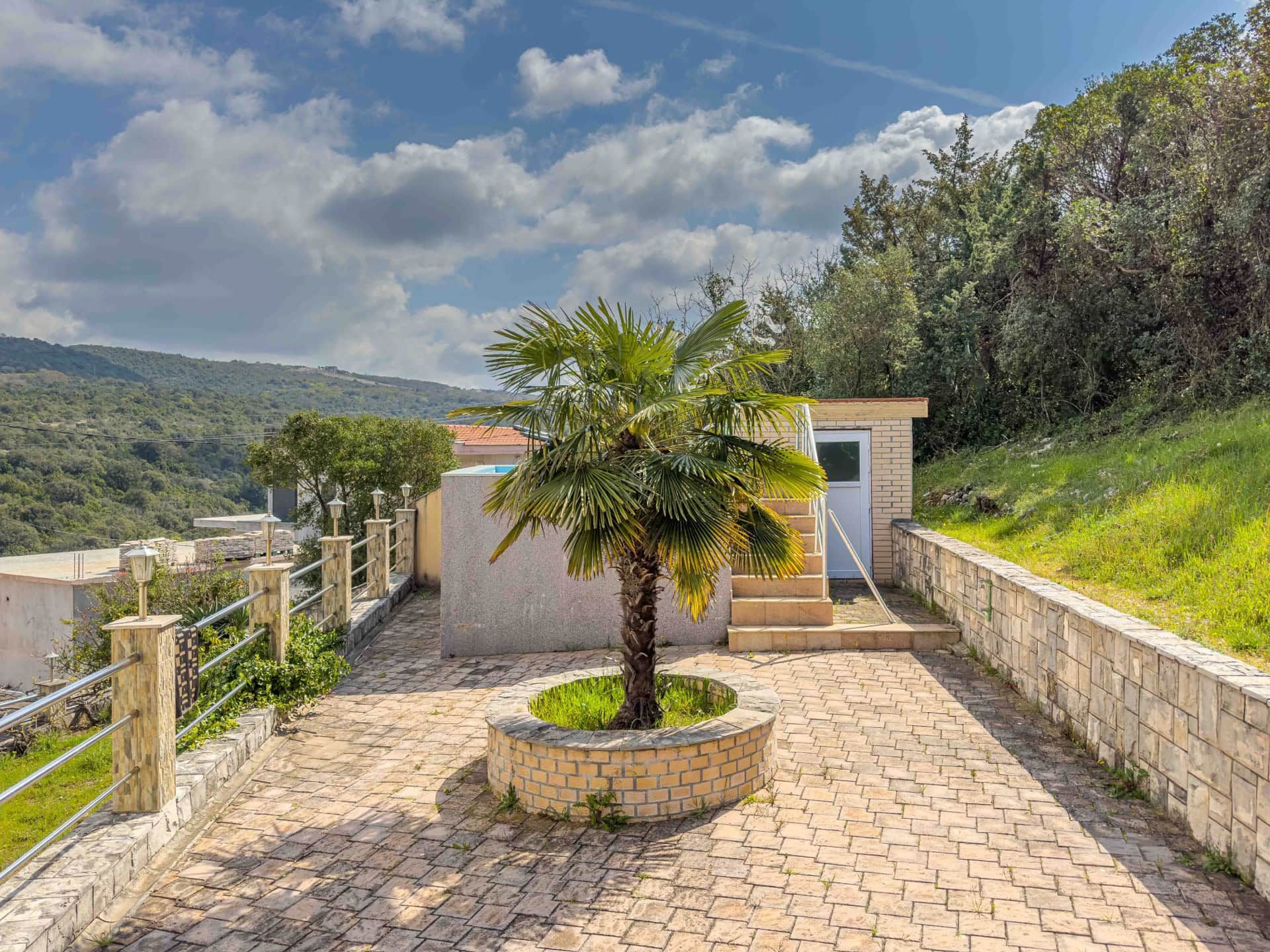 Terrace of a house in Utjeha, Montenegro: a paved area with a palm tree, stone railing, and a view of green mountains.