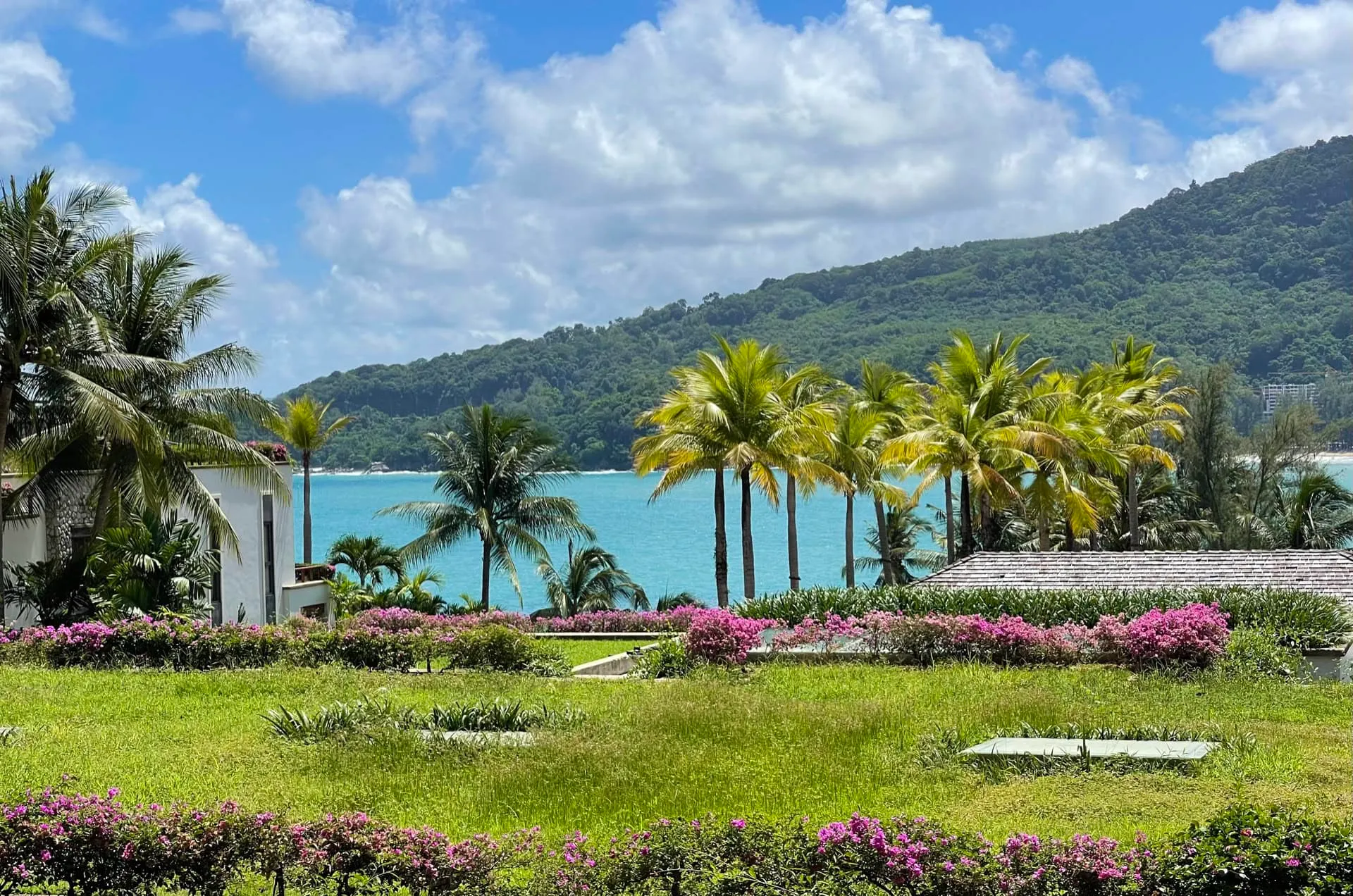 Tropical landscape with ocean view, palm trees, flowering bushes, and a green hill in the background.