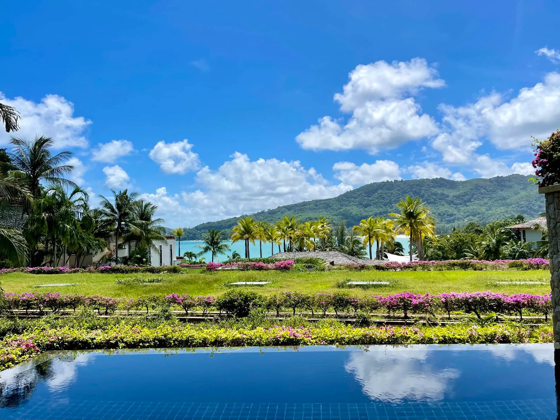 Pool in foreground, green lawn, purple flowers, palm trees, and ocean view with mountains in background.