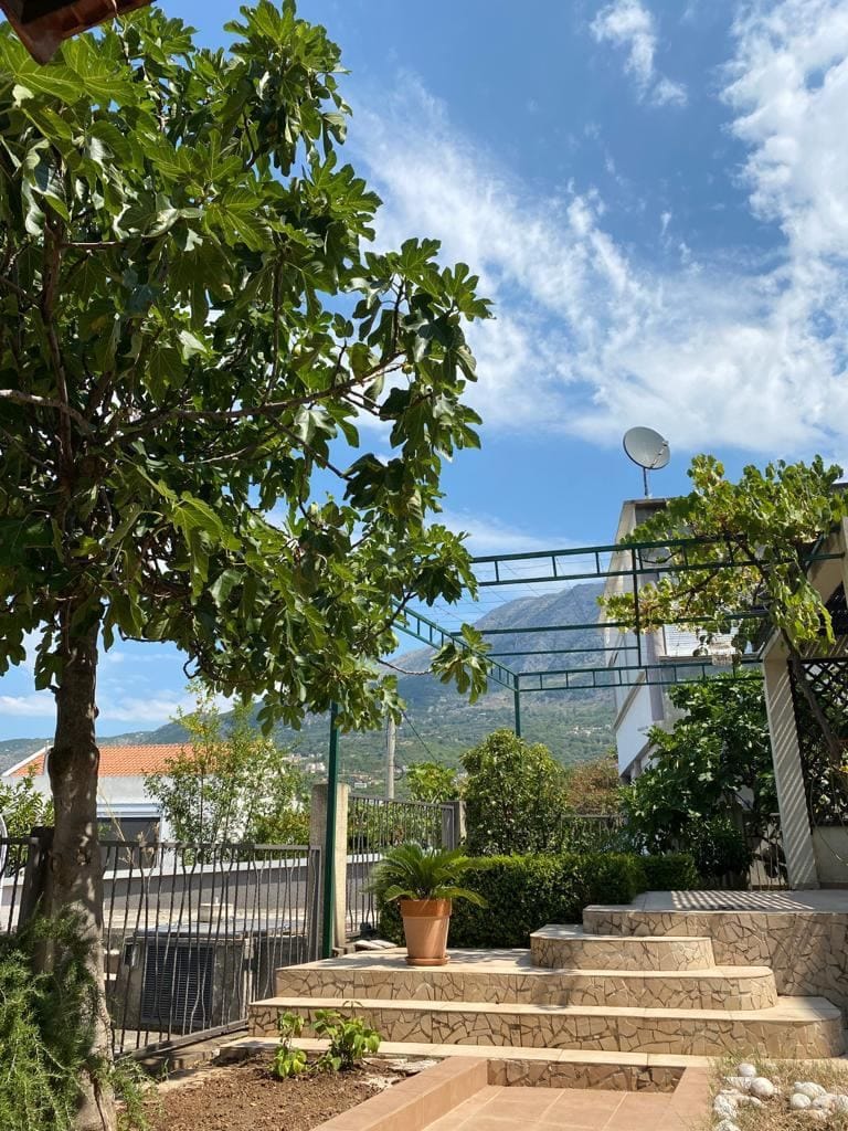Cozy courtyard of a house in Dobra Voda, Montenegro: stone terrace, green area with a fig tree, and mountain views.