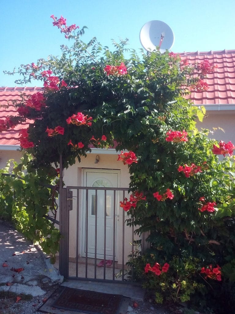 House in Krašići No. 2119