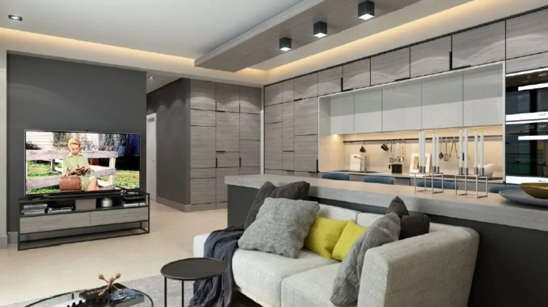 Modern living room featuring a sofa, TV, and an open kitchen area visible in the background.
