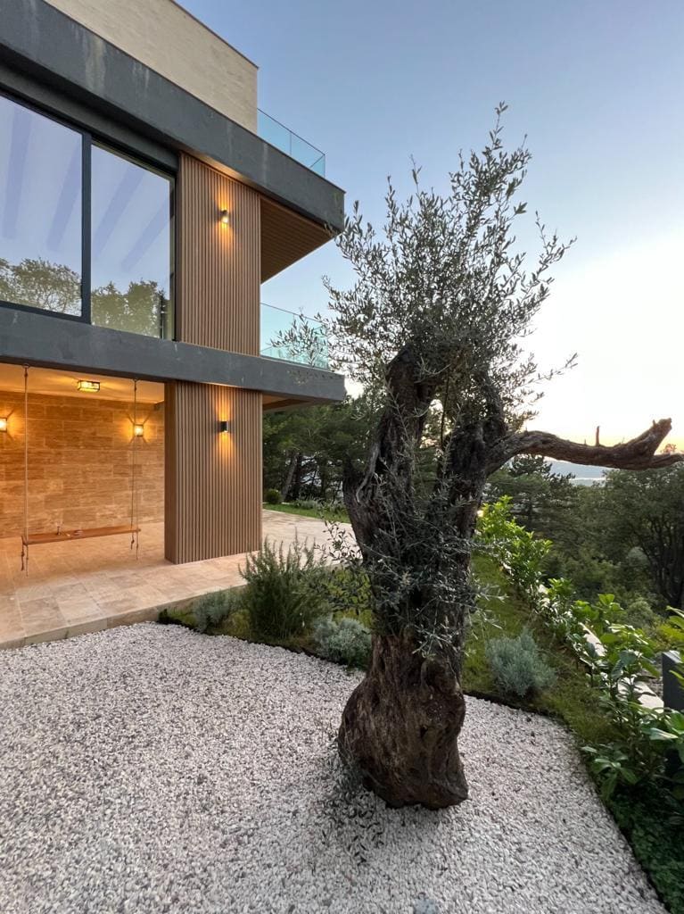 Modern villa in Kavac, Montenegro: terrace with a swing, stone cladding, panoramic windows, and an olive tree in the garden.