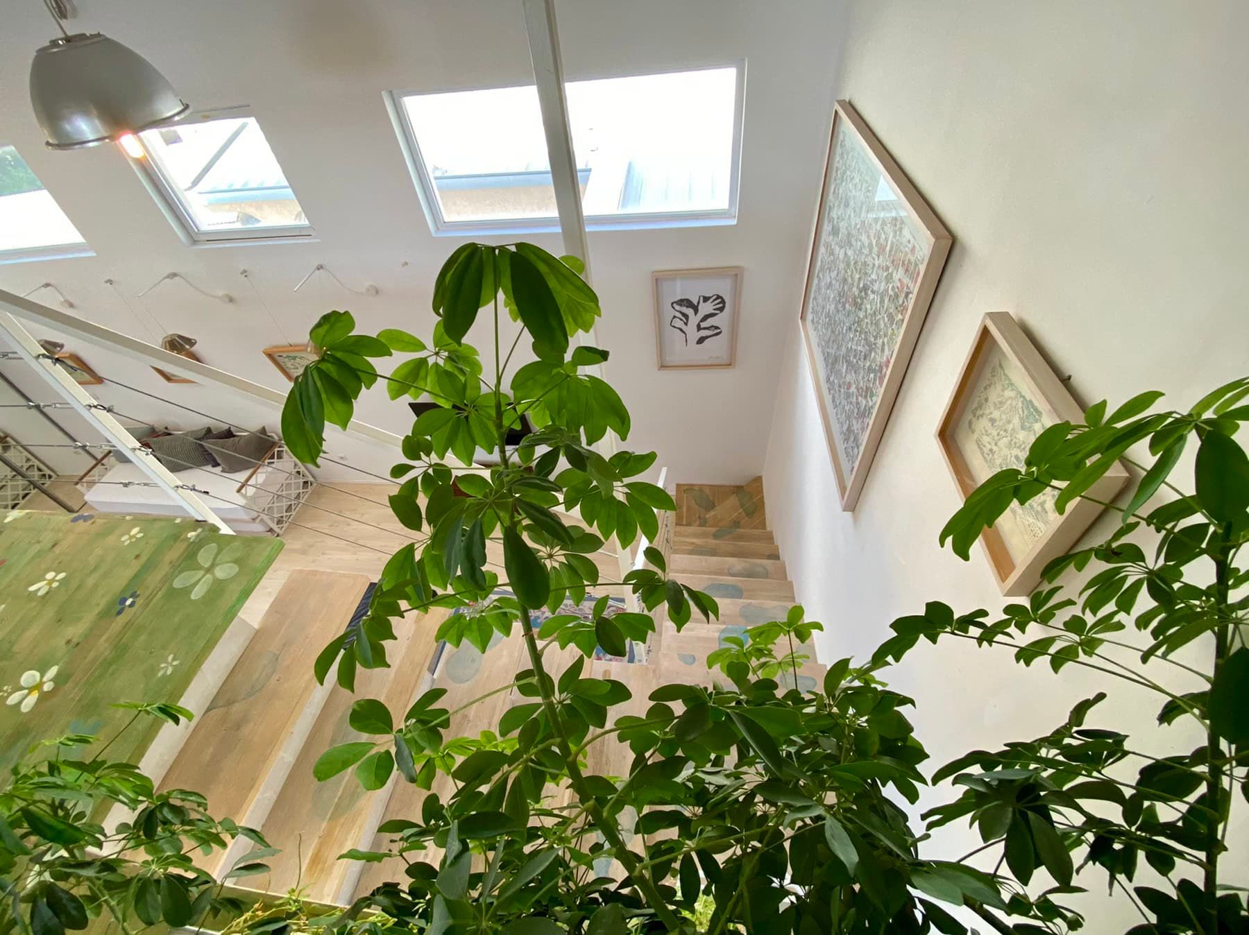 Living room interior with staircase and skylights in a house, Shushan, Montenegro: bright finishes and plant decor.