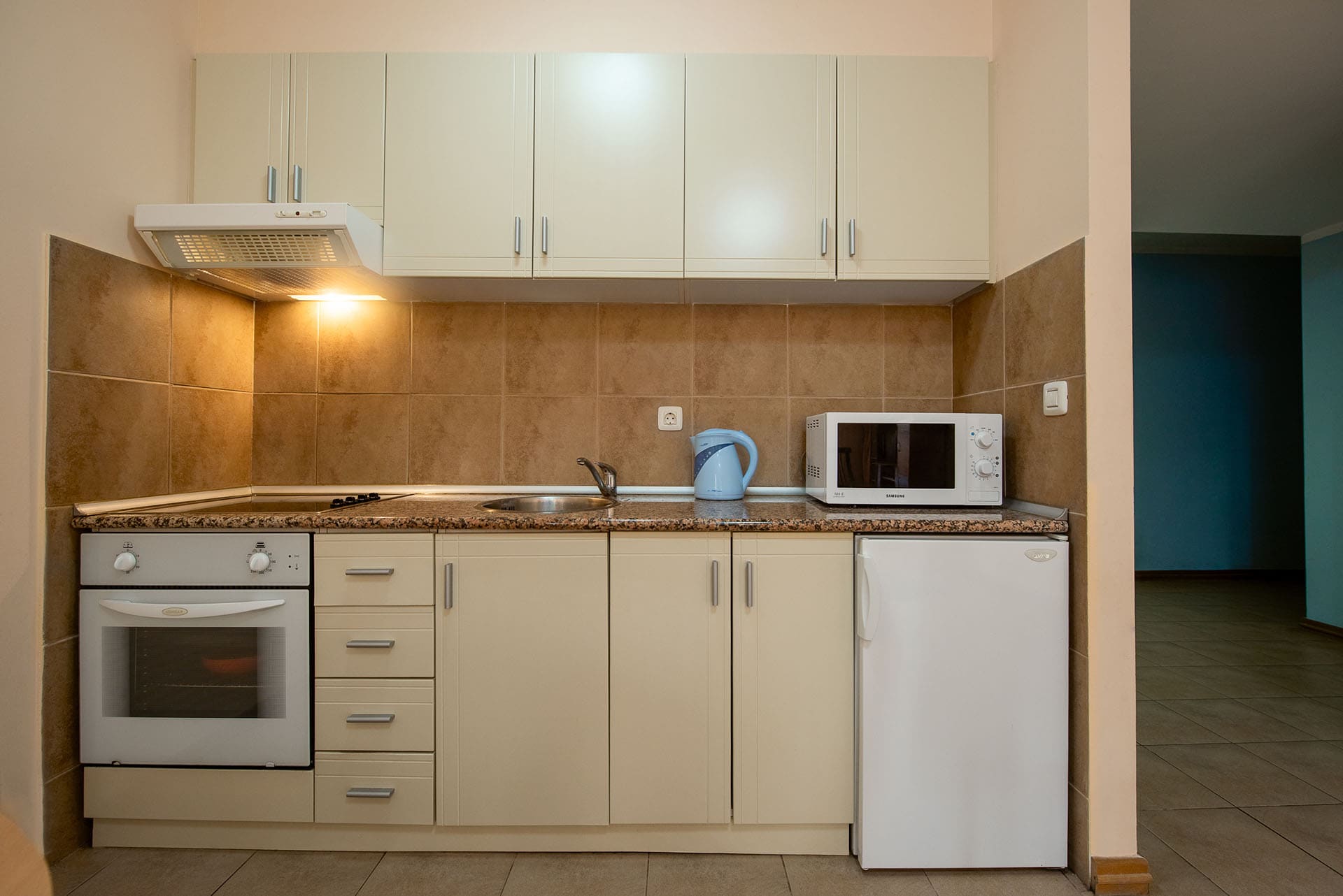 Compact kitchen in an apartment in Bečići, Montenegro: light-colored cabinetry, built-in appliances, stove, and microwave.