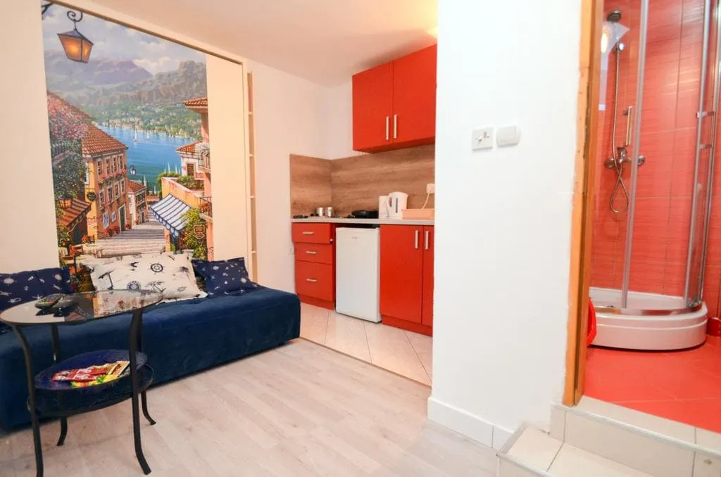 Studio apartment featuring a blue sofa, red kitchen cabinets, and an open shower area.