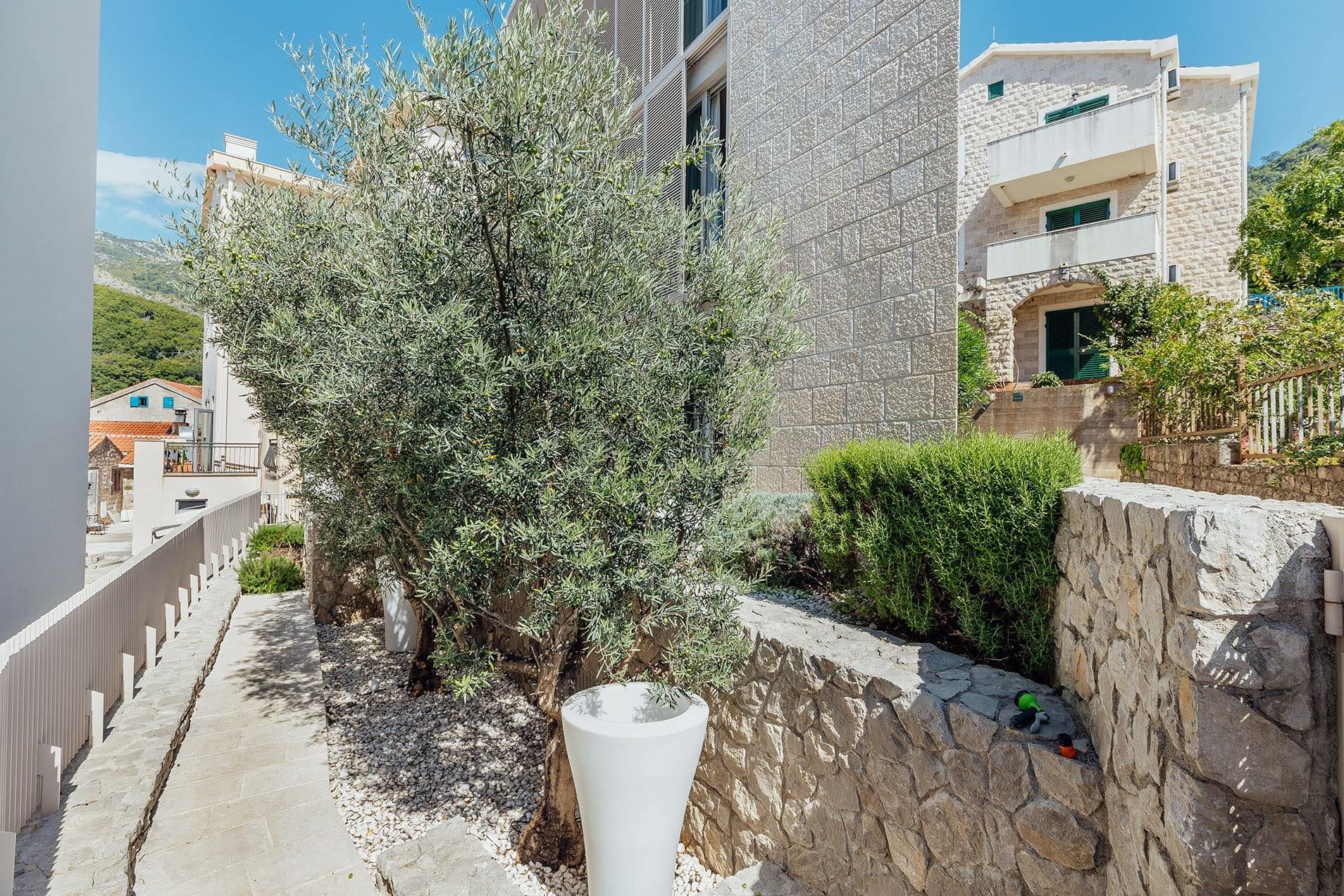 Outdoor view of a stone wall, an olive tree in a white planter, and gravel landscaping under a blue sky.