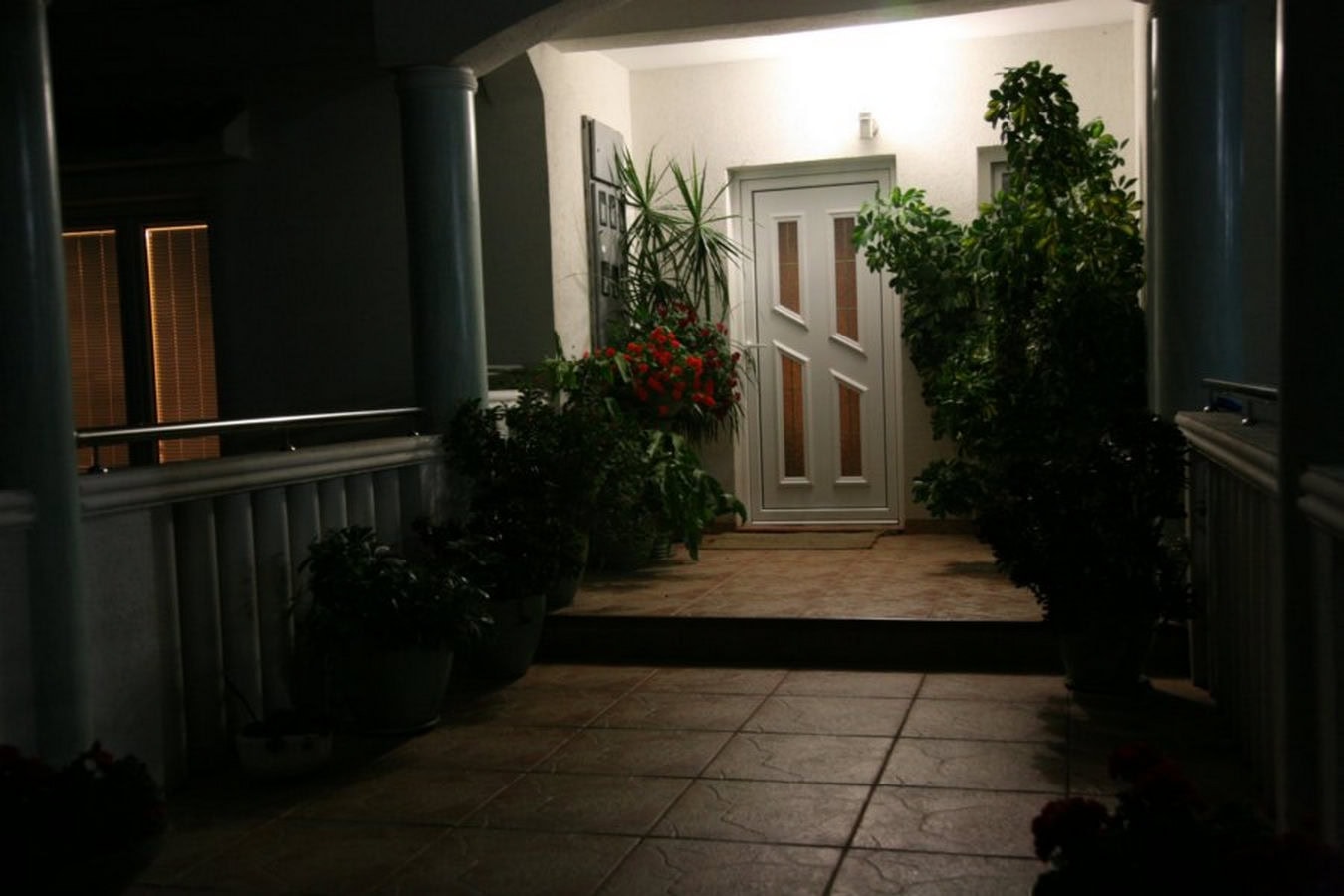 Evening villa terrace in Tivat, Montenegro: entrance door, tiled floor, and decorative potted plants.