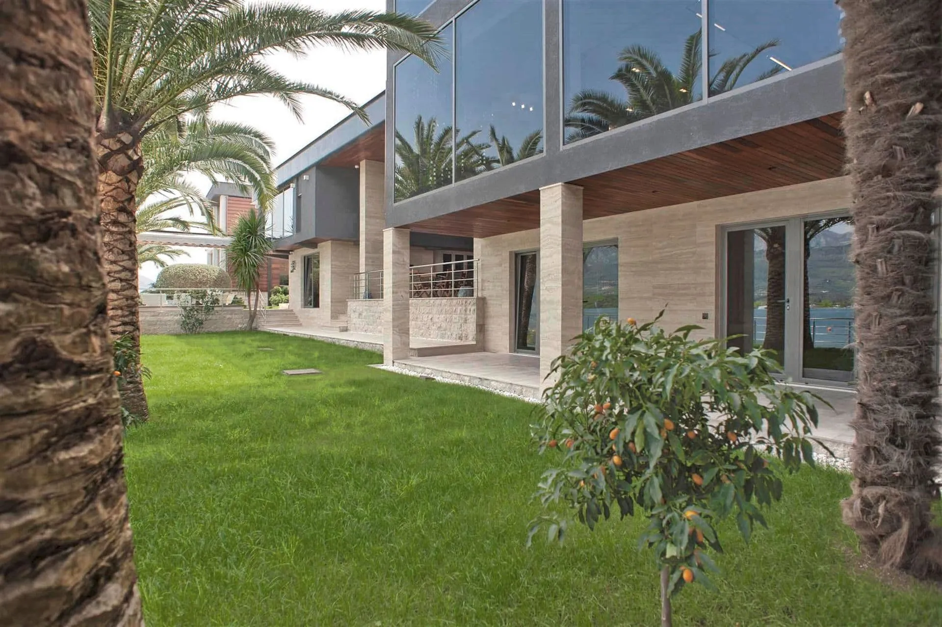 Modern house exterior with green lawn, palm trees, and a fruit tree in the foreground.