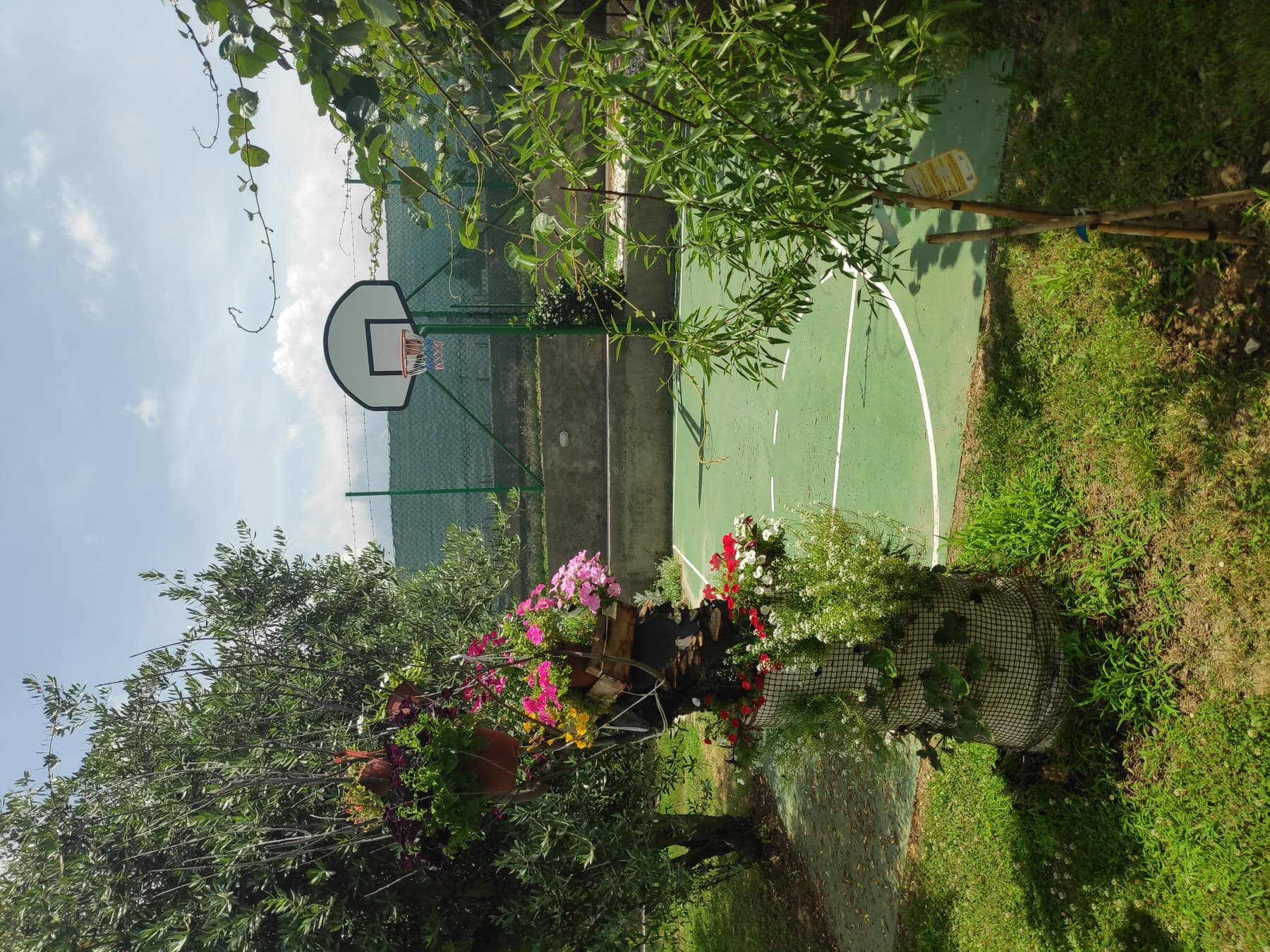 Private basketball court in the yard of a house in Bar, Montenegro, with flower beds in bloom and green turf.