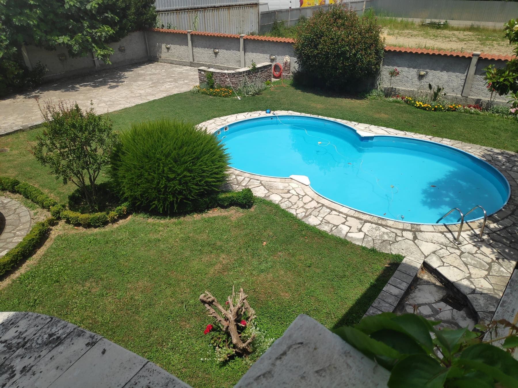 Private house with a pool, a green garden, and a relaxation area in Bar, Montenegro. View of the landscaped grounds.