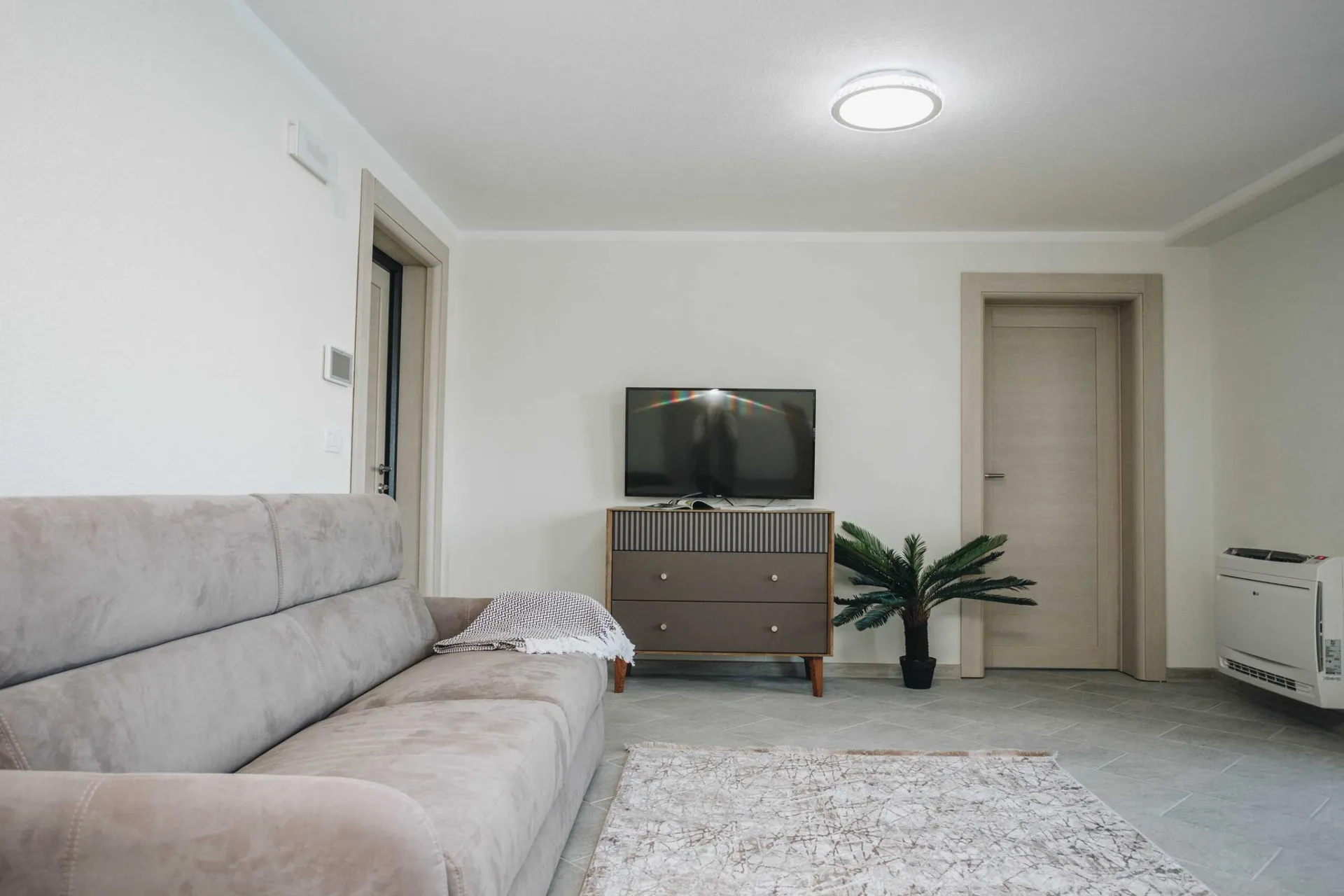 Bright room with a grey sofa, TV on a cabinet, patterned rug, and an artificial palm plant.