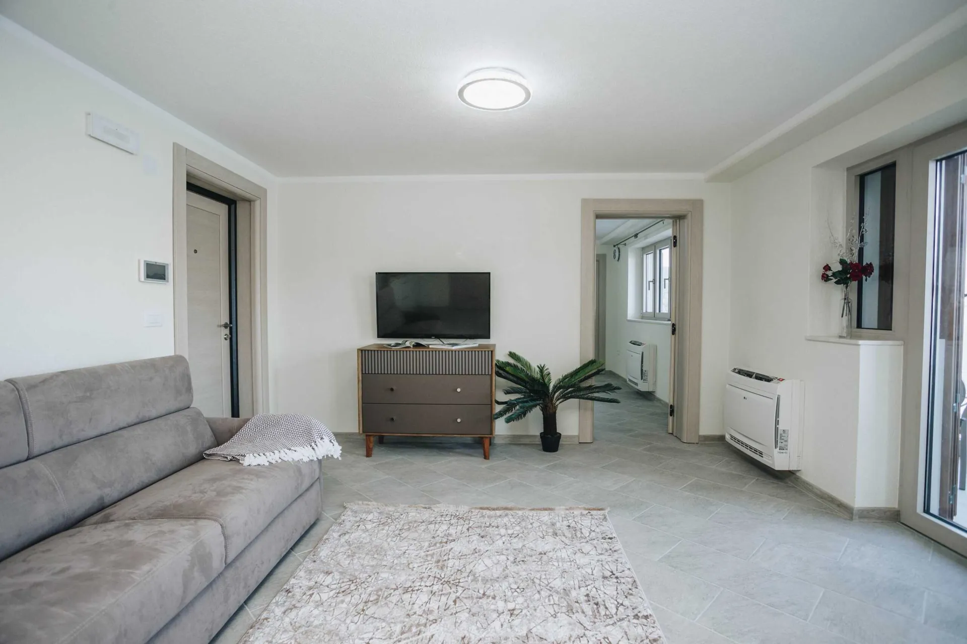 Bright room with a grey sofa, TV on a chest of drawers, patterned rug, and an artificial plant.