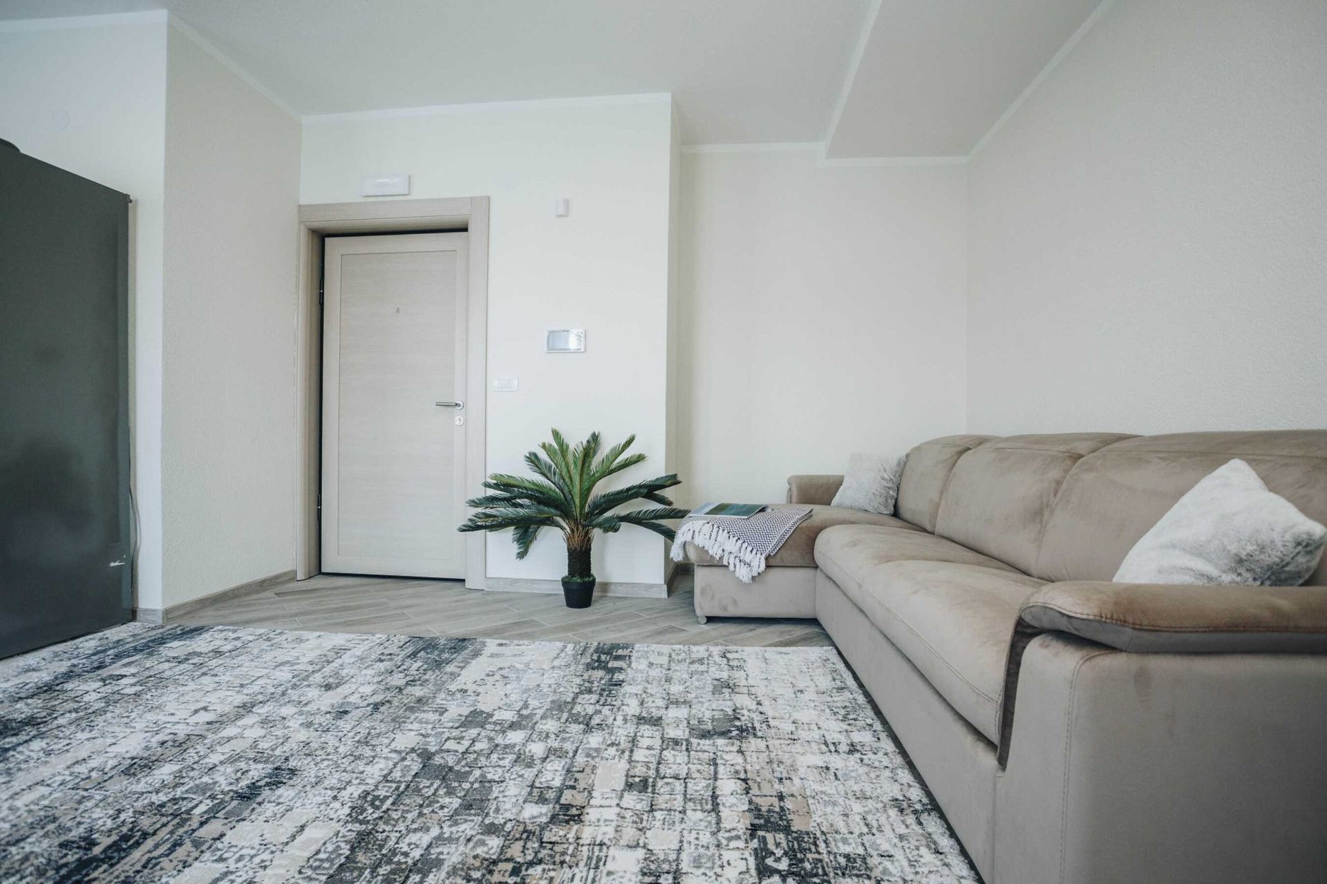 Bright living room with a beige sofa and rug in a modern villa in Krašići, Montenegro. Interior with a live plant.
