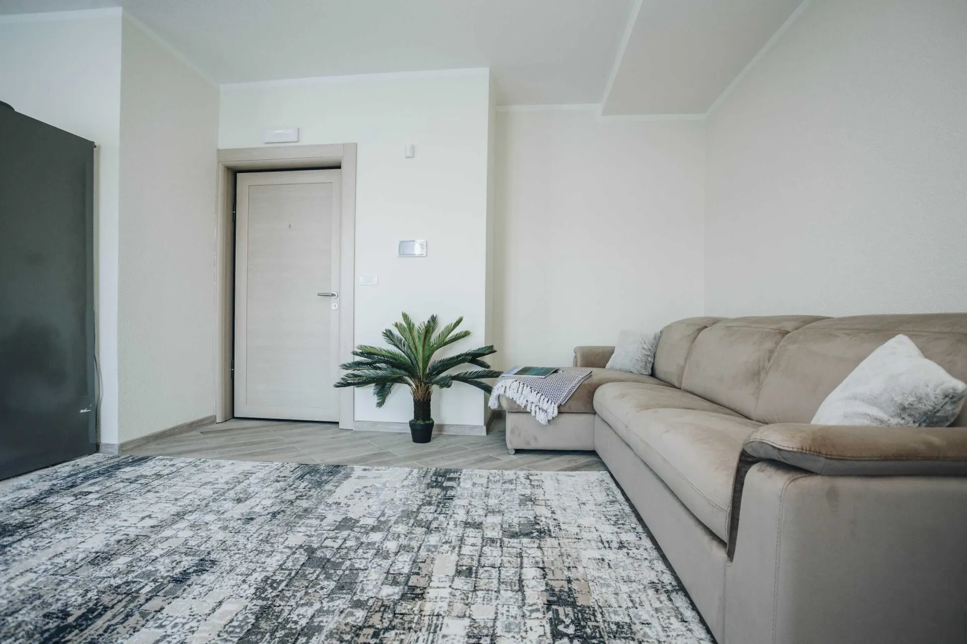 Bright room featuring a beige sectional sofa, abstract patterned rug, and an artificial palm plant near the door.