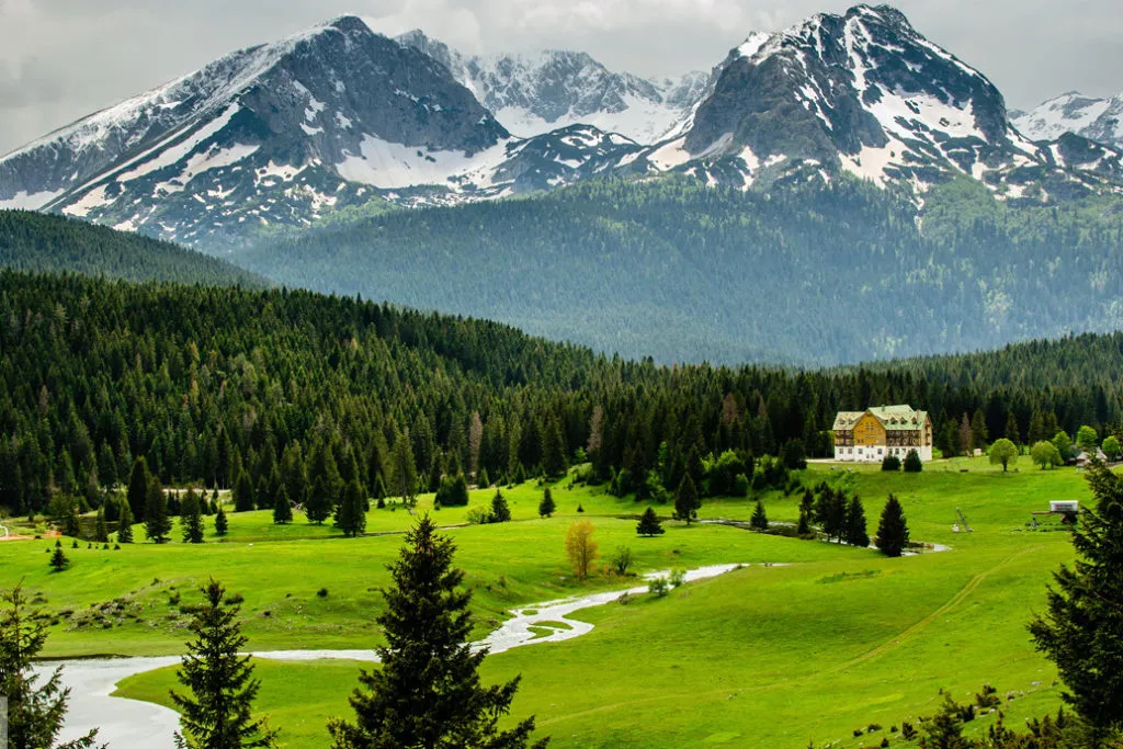 Panoramic mountain landscape with dense forest, winding river, green meadows, and a distant building.