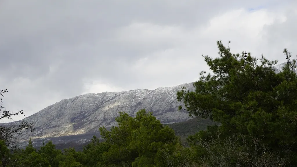 Mountain landscape with snow-capped peaks and green pine trees in the foreground under a cloudy sky.