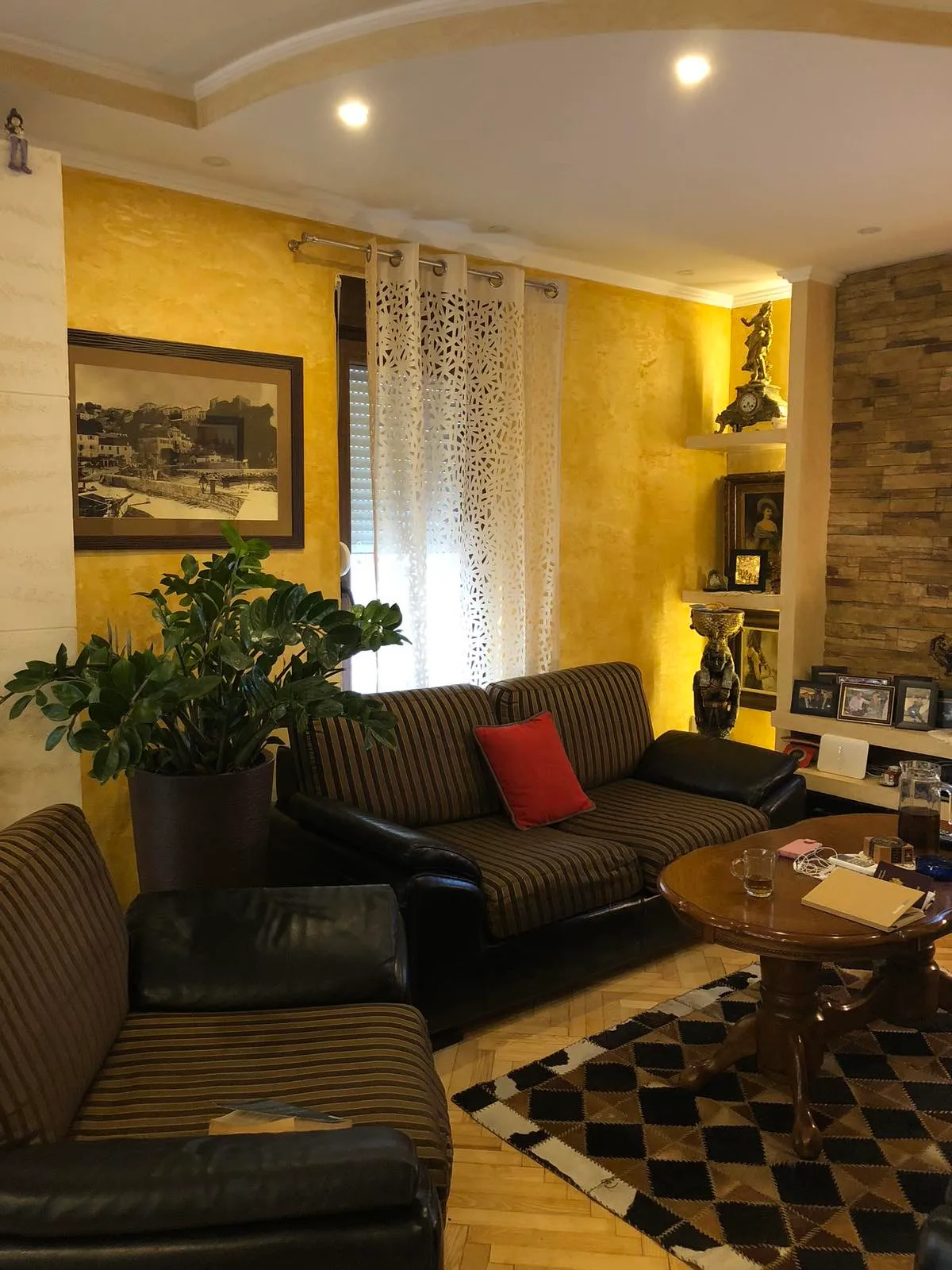 Living room with striped sofas, wooden table, checkered rug, and large plant near window.