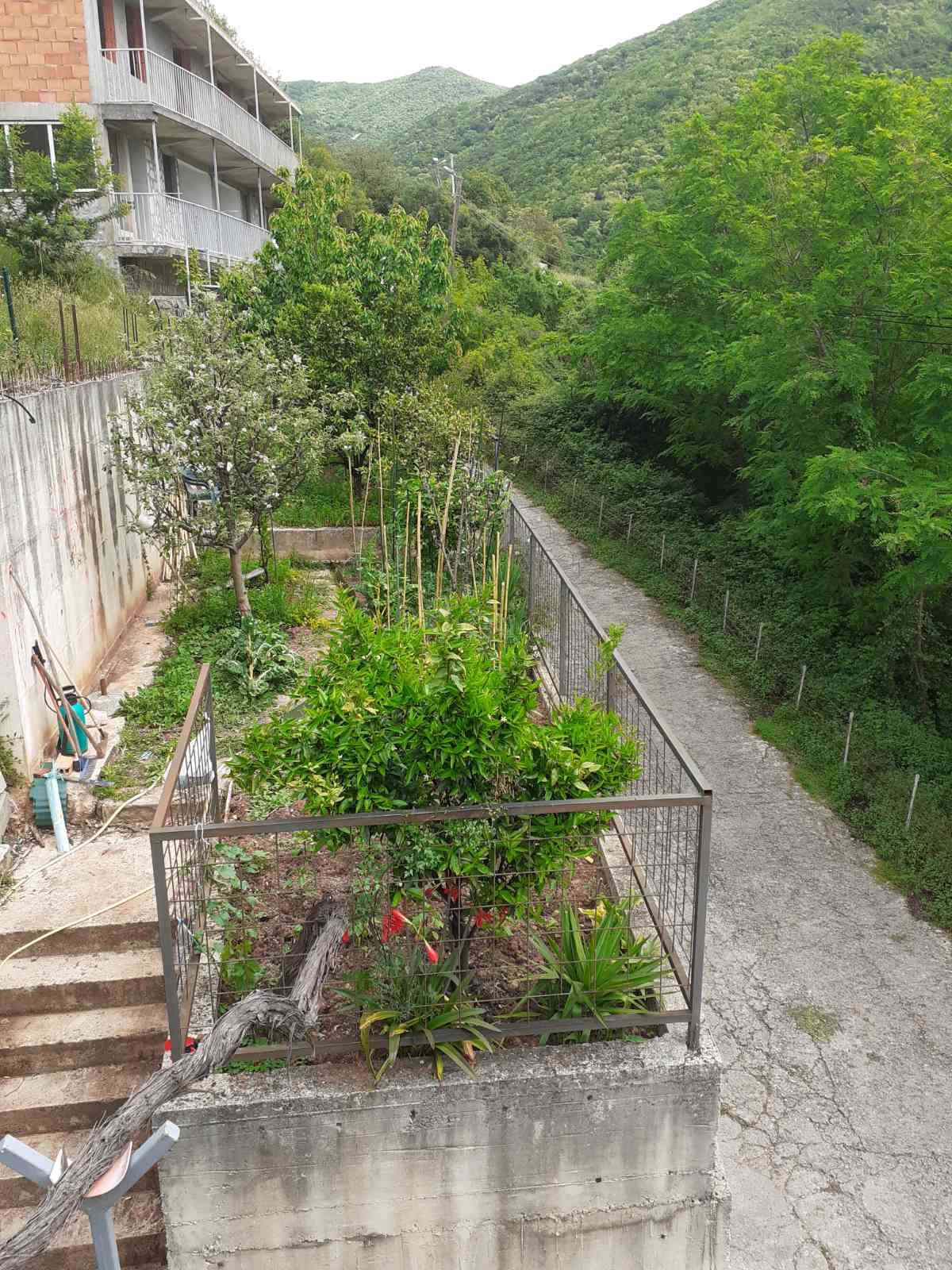 View of a green garden and mountain scenery at a mini-hotel in Zelenika, Herceg Novi, Montenegro. Grounds with trees and a fence.
