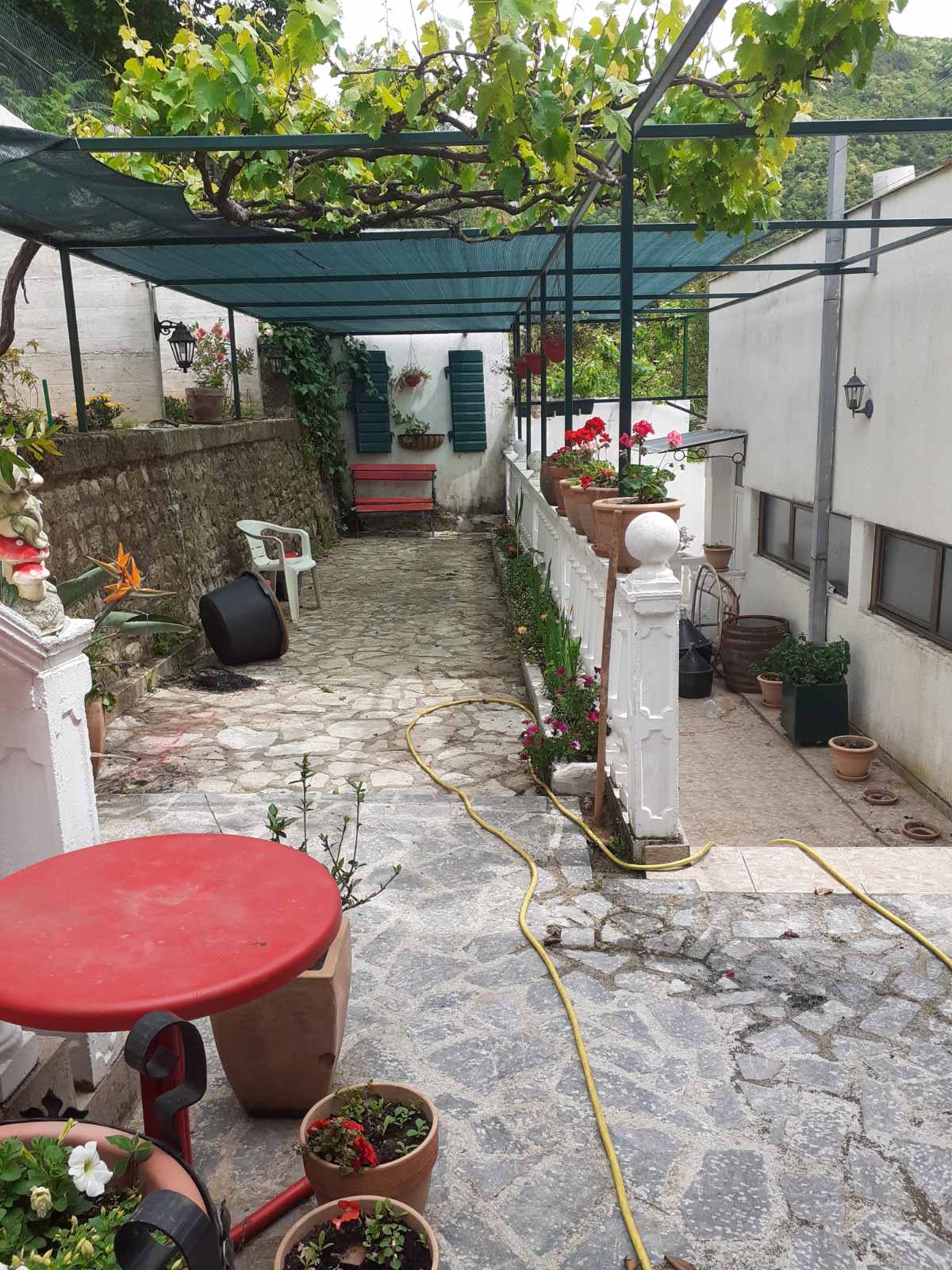 Cozy courtyard with a terrace and vineyard at a mini-hotel, Zelenika, Herceg Novi, Montenegro.