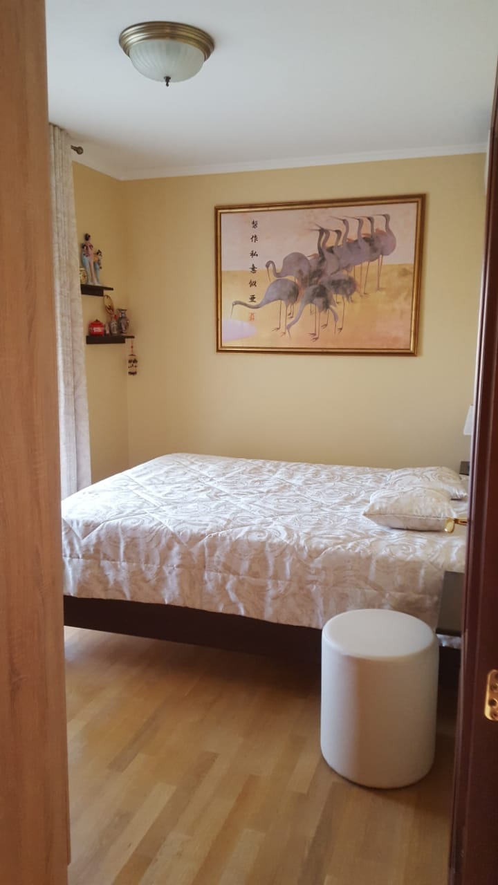 Cozy bedroom with a double bed in a house in Shushan, Montenegro: light walls, a painting, and wooden flooring.