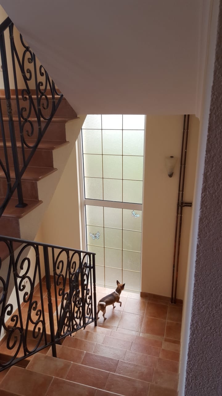 Staircase with wrought-iron railings and a panoramic window in a house, Shushan, Montenegro. Interior with tile and a dog.