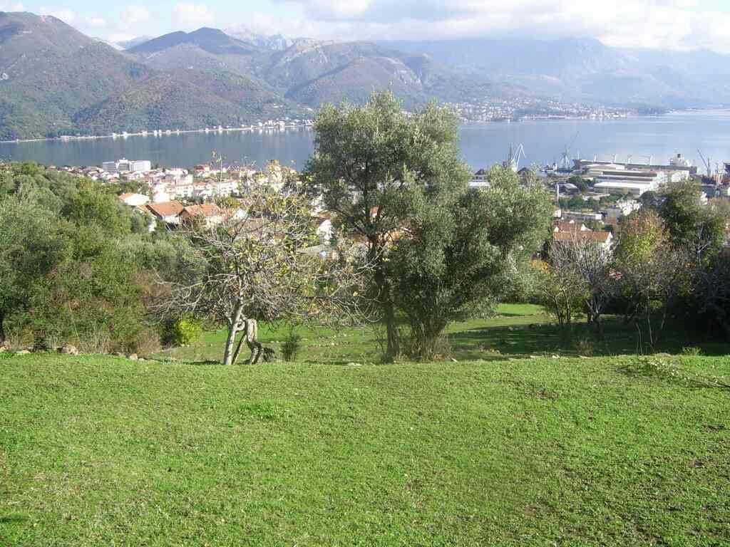 Land plot in Biele, Montenegro, with panoramic views of the sea, mountains, and the city, with olive trees.