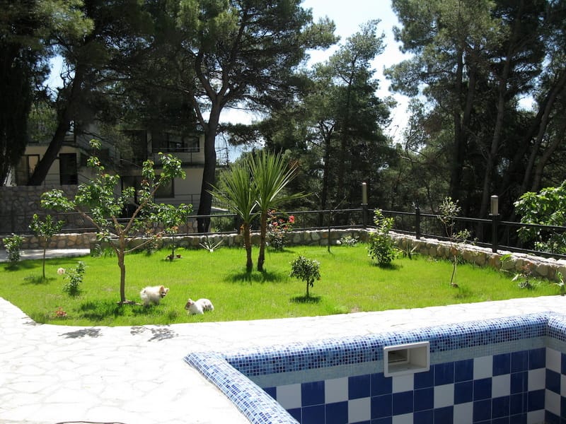 Private pool and green garden at a villa in Shushan, Montenegro: view of the landscaped grounds with conifer trees.