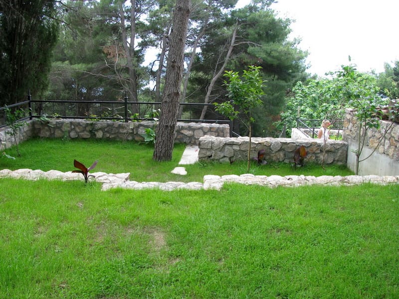 Green garden with stone terraces and pine trees on the villa grounds in Shushan, Montenegro.