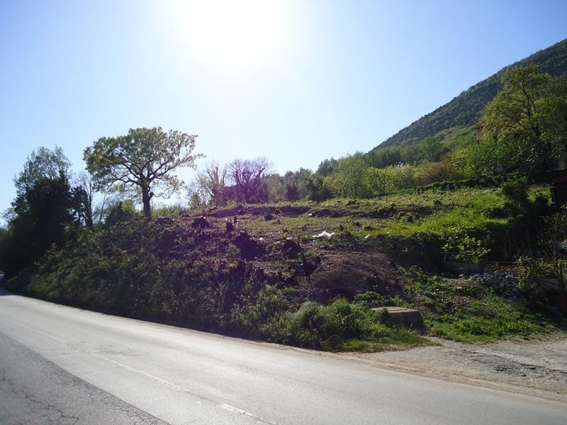 Building plot in Bijela, Montenegro: a sloping plot with trees by an asphalt road.