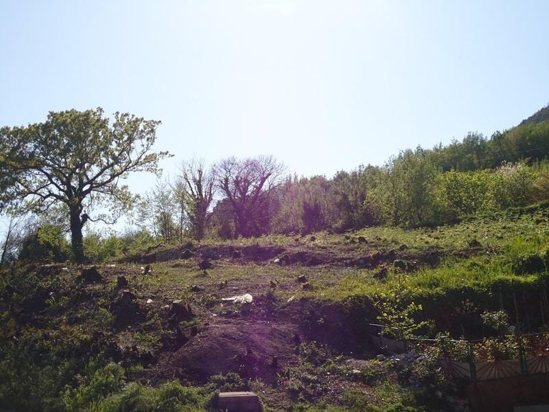 Land plot for construction in Bijela, Montenegro: panoramic view of the hilly landscape with trees.