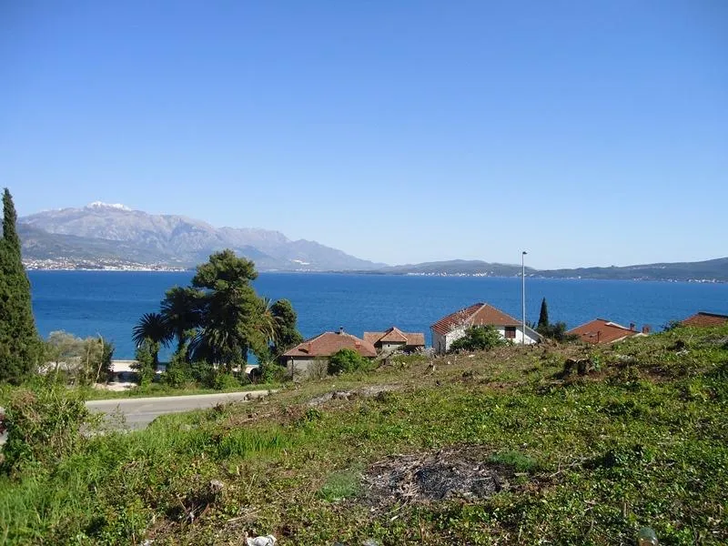 Scenic view of the sea and mountains from a grassy slope, featuring houses with red roofs and palm trees.