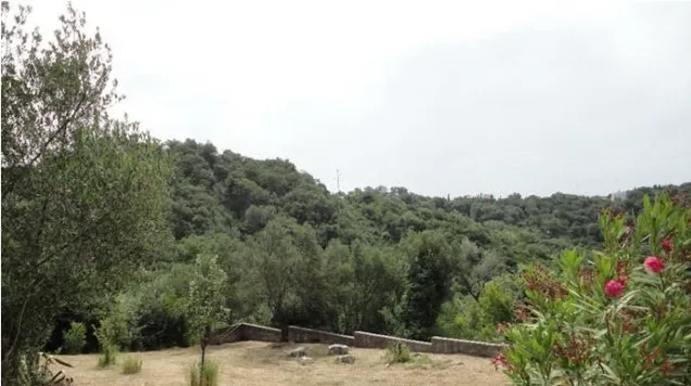 View of a green wooded hill, low stone wall in foreground, and pink flowering bush under an overcast sky.