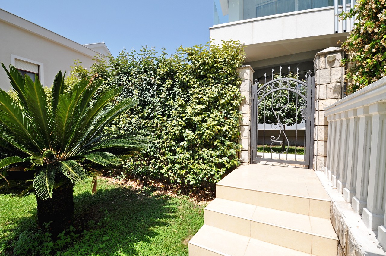 Entrance to a house in Tivat, Montenegro: wrought-iron gate, stone steps, green hedge, and a palm tree in the yard.