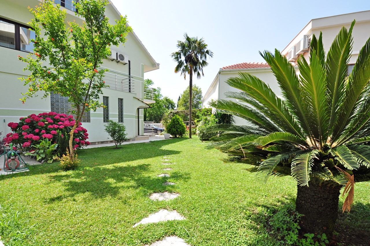 Well-kept garden with a palm tree and blooming hydrangeas by a private house in Tivat, Montenegro, view of the property grounds.