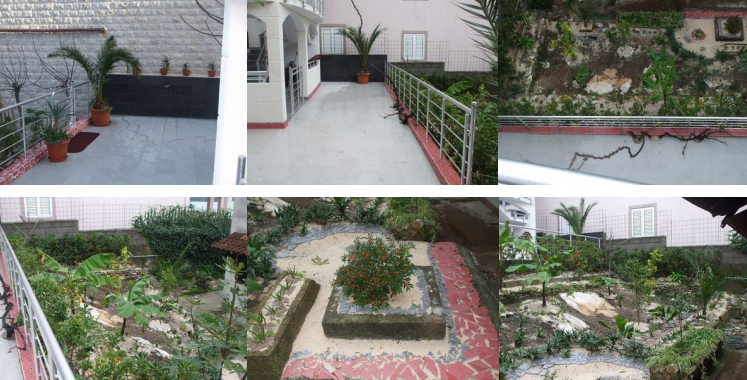 Terrace and landscaped garden with exotic plants by the house in Tivat, Montenegro: view of the grounds.